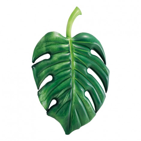 Insuflável Folha de Palmeira Realista 213x142cm
 - INTEX - Image 4