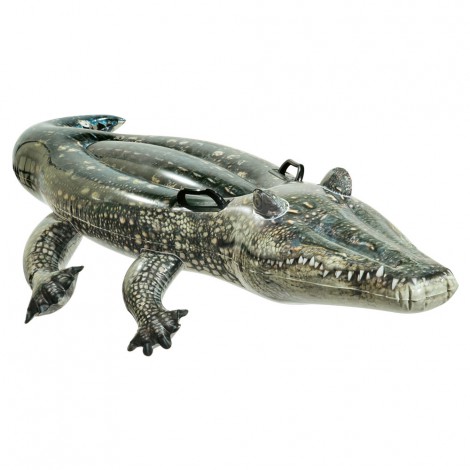 Crocodilo Inflável  Efeito Realista +2 Alças 191x170cm
 - INTEX