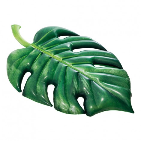 Insuflável Folha de Palmeira Realista 213x142cm
 - INTEX